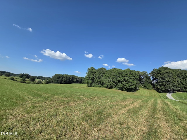 1120 Old Boones Creek Rd, Jonesborough, TN 37659 - photo 18