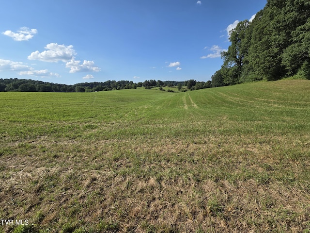 1120 Old Boones Creek Rd, Jonesborough, TN 37659 - photo 19