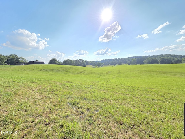 1120 Old Boones Creek Rd, Jonesborough, TN 37659 - photo 21