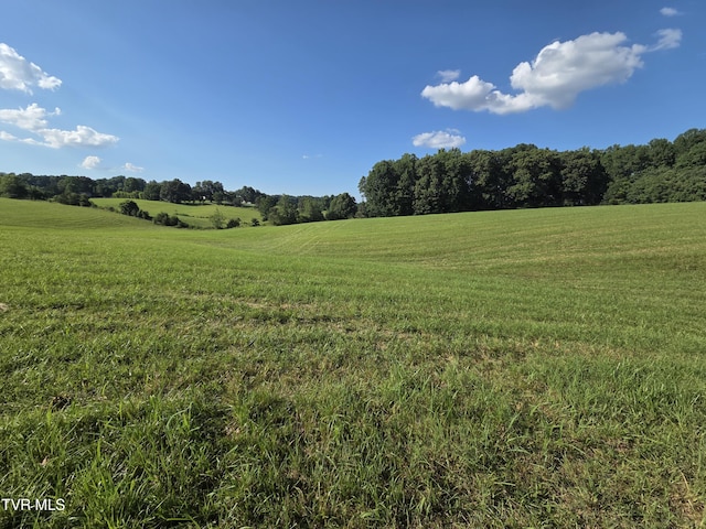 1120 Old Boones Creek Rd, Jonesborough, TN 37659 - photo 24