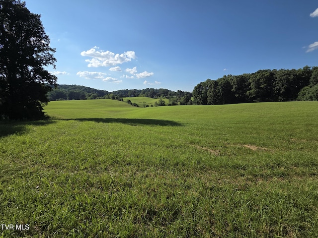 1120 Old Boones Creek Rd, Jonesborough, TN 37659 - photo 25