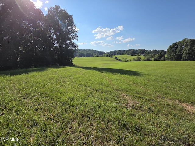 1120 Old Boones Creek Rd, Jonesborough, TN 37659 - photo 26