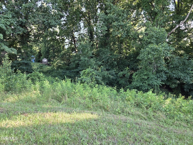 1120 Old Boones Creek Rd, Jonesborough, TN 37659 - photo 27