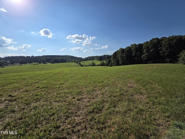 1120 Old Boones Creek Rd, Jonesborough, TN 37659 - photo 28