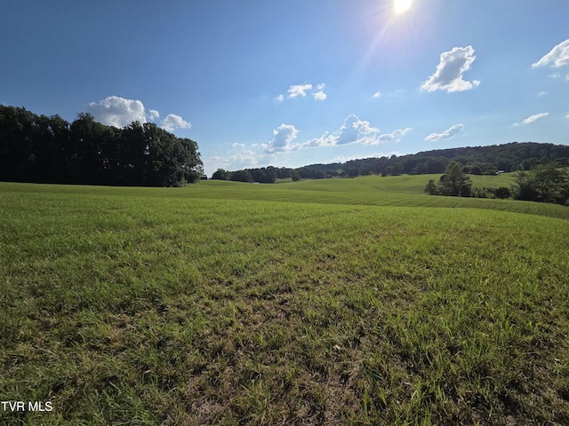 1120 Old Boones Creek Rd, Jonesborough, TN 37659 - photo 30