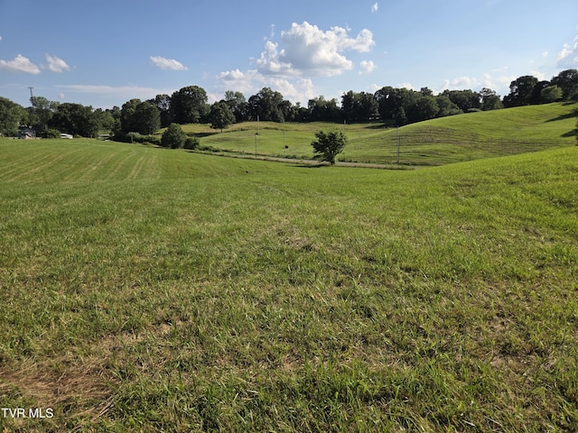 1120 Old Boones Creek Rd, Jonesborough, TN 37659 - photo 32