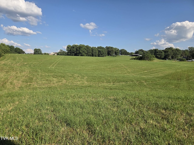 1120 Old Boones Creek Rd, Jonesborough, TN 37659 - photo 33