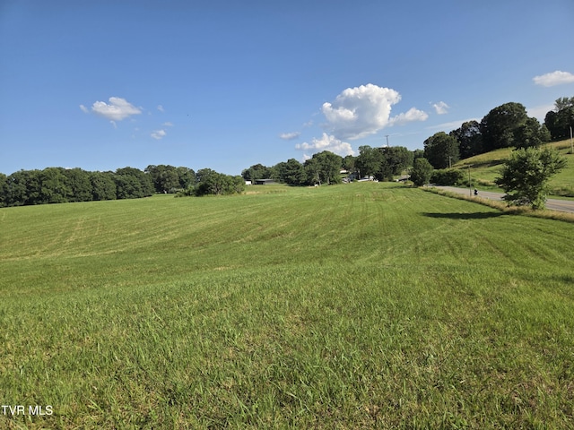 1120 Old Boones Creek Rd, Jonesborough, TN 37659 - photo 35