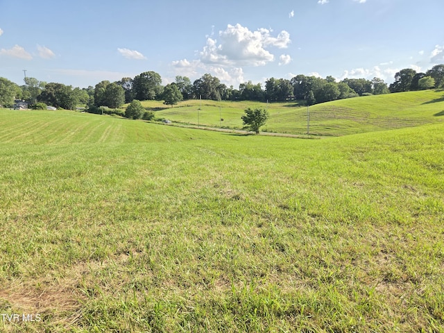 1120 Old Boones Creek Rd, Jonesborough, TN 37659 - photo 37