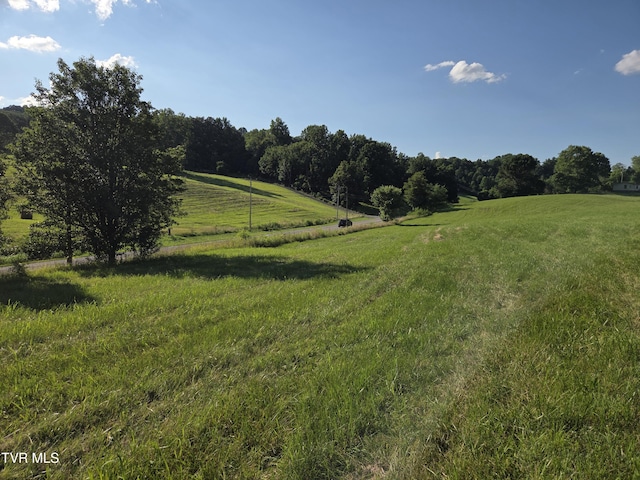1120 Old Boones Creek Rd, Jonesborough, TN 37659 - photo 38