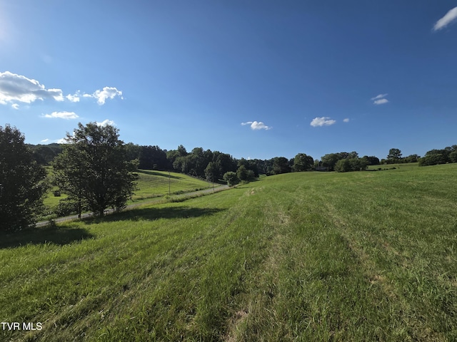 1120 Old Boones Creek Rd, Jonesborough, TN 37659 - photo 39