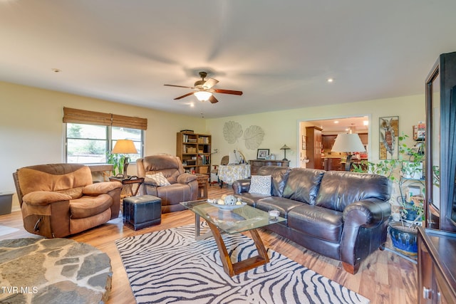 236 Wadlow Gap Rd, Kingsport, TN 37660 - living area featuring light wood finished floors and a ceiling fan