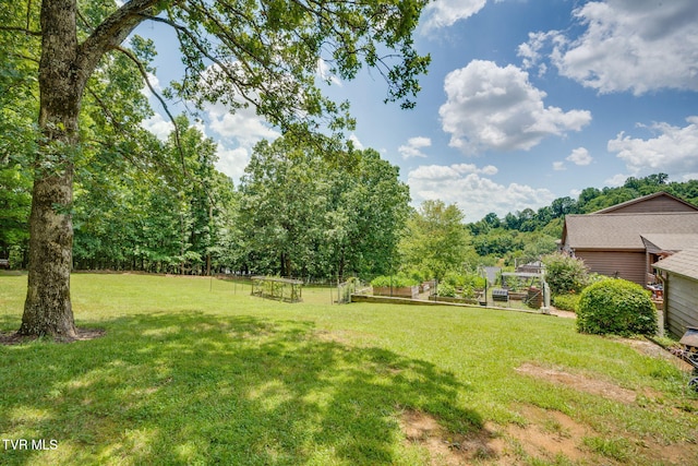 236 Wadlow Gap Rd, Kingsport, TN 37660 - view of green lawn featuring a garden