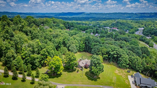 236 Wadlow Gap Rd, Kingsport, TN 37660 - aerial view of a heavily wooded area