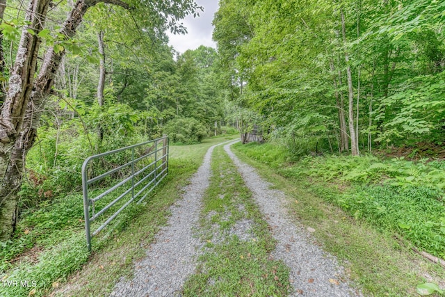 134 Old Church Rd, Butler, TN 37640 - photo 10
