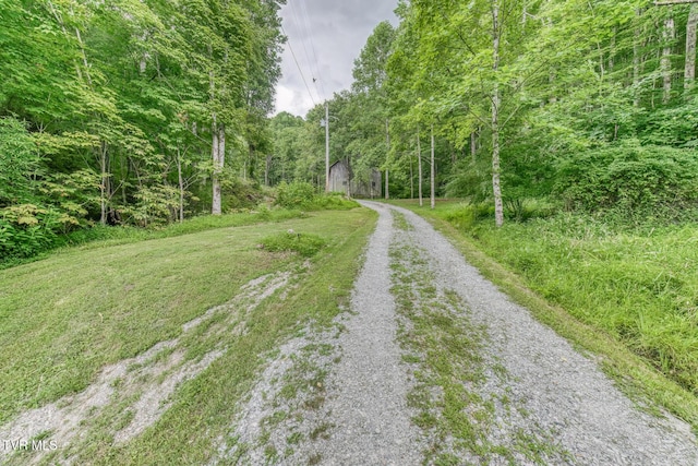 134 Old Church Rd, Butler, TN 37640 - photo 11