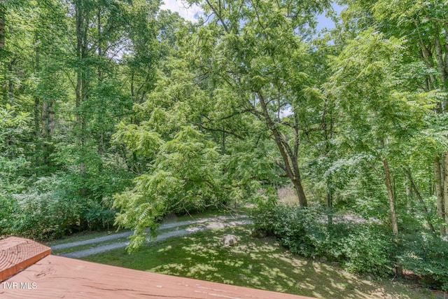 134 Old Church Rd, Butler, TN 37640 - photo 20