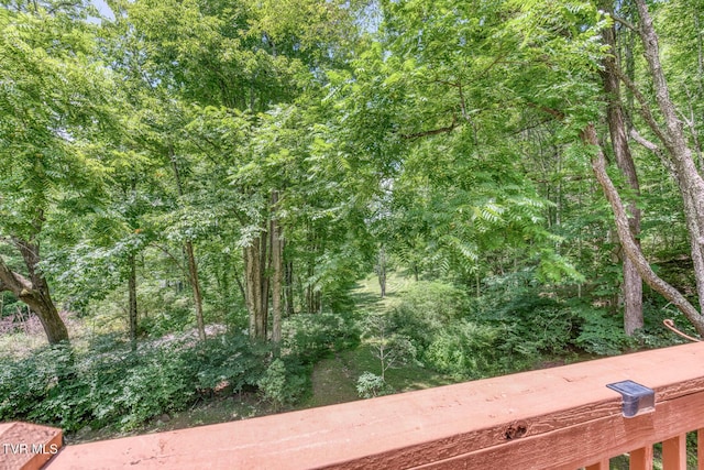 134 Old Church Rd, Butler, TN 37640 - photo 21