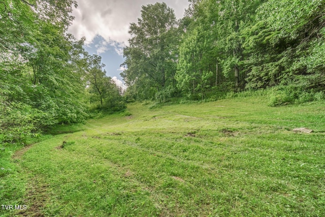 134 Old Church Rd, Butler, TN 37640 - photo 27