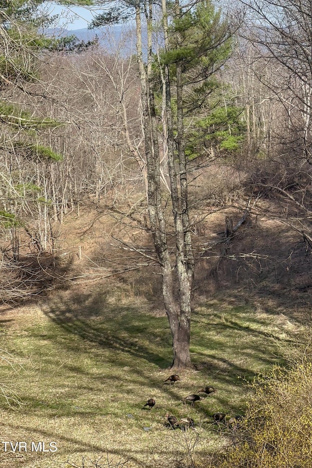 134 Old Church Rd, Butler, TN 37640 - photo 76