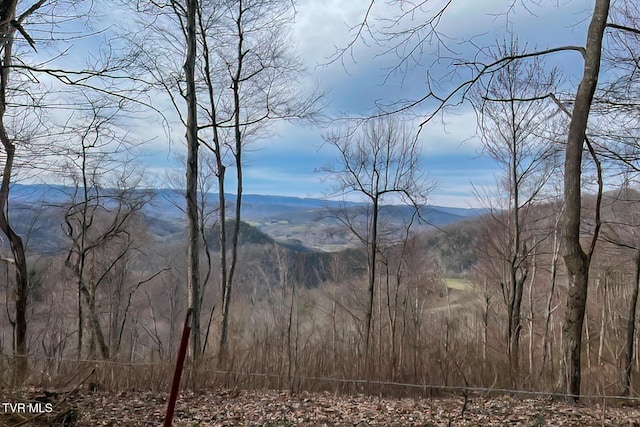134 Old Church Rd, Butler, TN 37640 - photo 77