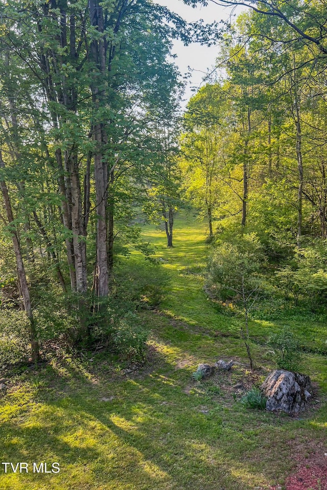 134 Old Church Rd, Butler, TN 37640 - photo 82