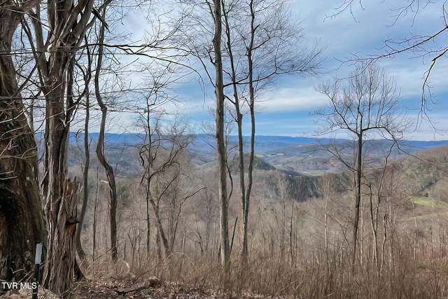 134 Old Church Rd, Butler, TN 37640 - photo 78