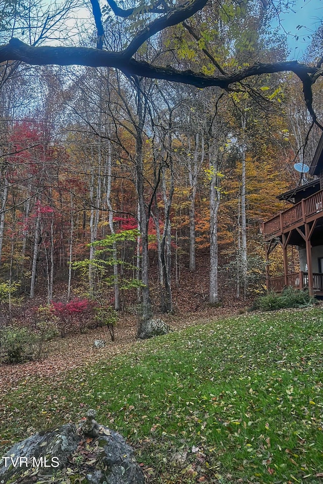 134 Old Church Rd, Butler, TN 37640 - photo 88