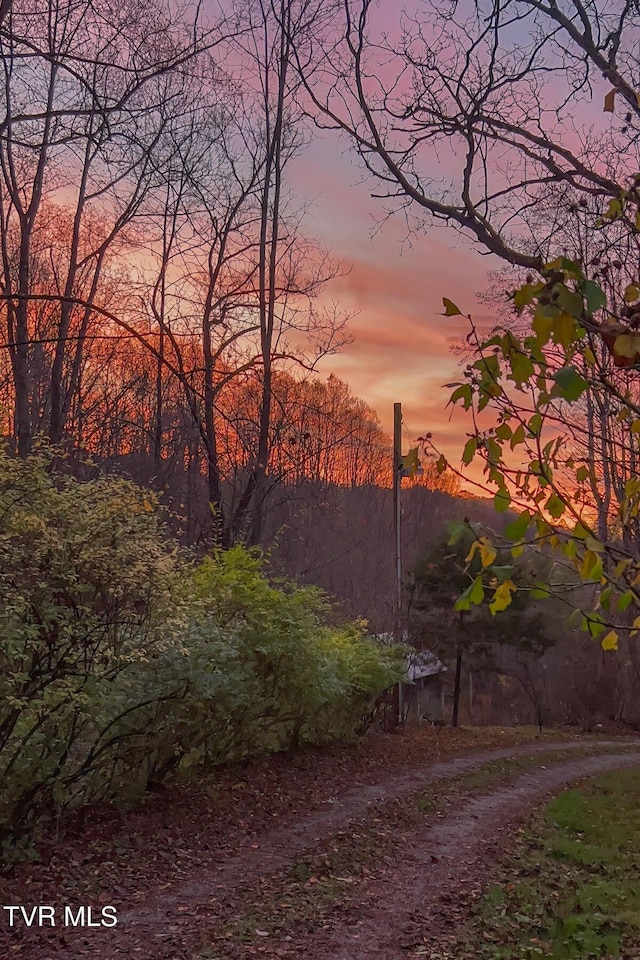 134 Old Church Rd, Butler, TN 37640 - photo 91