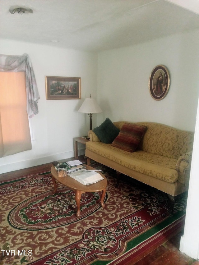 32222 Old Saltworks Rd, Meadowview, VA 24361 - view of living area