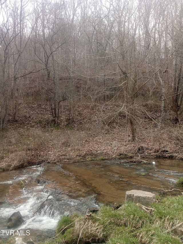 32222 Old Saltworks Rd, Meadowview, VA 24361 - water view