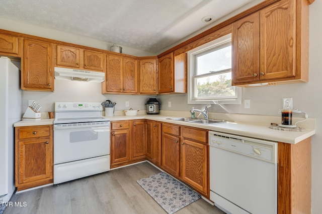 6215 Snapps Ferry Rd, Afton, TN 37616 - kitchen with white appliances, under cabinet range hood, light wood-style flooring, and light countertops