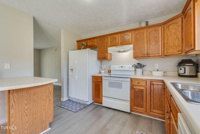 6215 Snapps Ferry Rd, Afton, TN 37616 - kitchen with white appliances, under cabinet range hood, light wood-type flooring, light countertops, and a textured ceiling