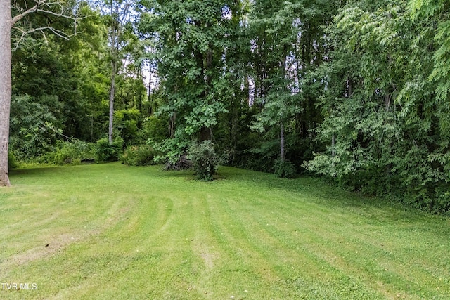 591 Southview Dr, Johnson City, TN 37601 - photo 6