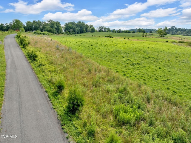 LOT4 Cantrell, Bulls Gap, TN 37711 - photo 14