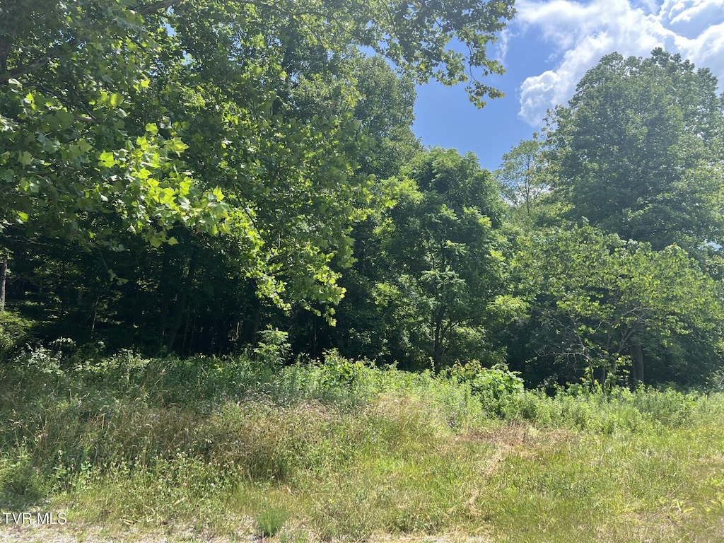 Tbd Clintwood Highway, Pound, VA 24279 - photo 4