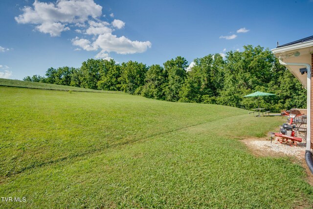 1482 Asheville Hwy, Greeneville, TN 37743 - photo 4