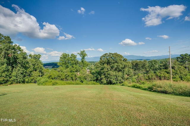 1482 Asheville Hwy, Greeneville, TN 37743 - photo 32