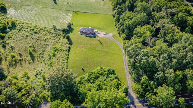 1482 Asheville Hwy, Greeneville, TN 37743 - photo 34