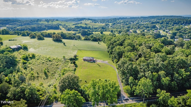 1482 Asheville Hwy, Greeneville, TN 37743 - photo 35