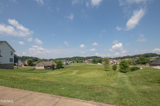 112 Cardinal Pt, Blountville, TN 37617 - photo 14