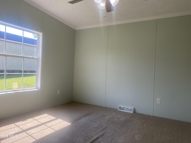 692 Oak Grove Rd, Johnson City, TN 37615 - photo 23
