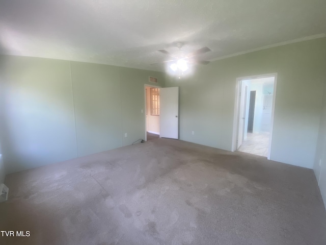 692 Oak Grove Rd, Johnson City, TN 37615 - photo 17