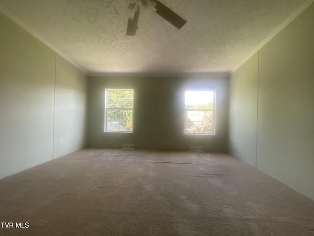 692 Oak Grove Rd, Johnson City, TN 37615 - photo 18