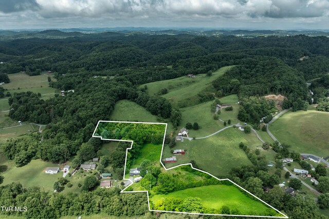 361 Malone Rd, Watauga, TN 37694 - photo 2
