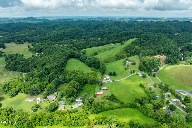 361 Malone Rd, Watauga, TN 37694 - photo 3