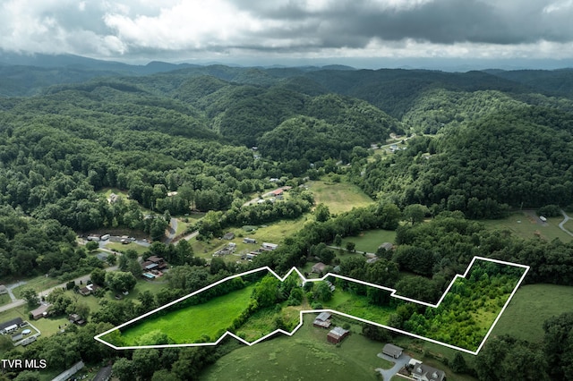 361 Malone Rd, Watauga, TN 37694 - photo 4