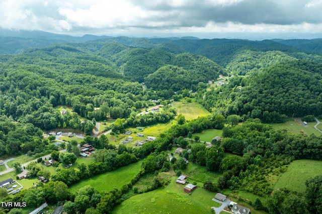361 Malone Rd, Watauga, TN 37694 - photo 5