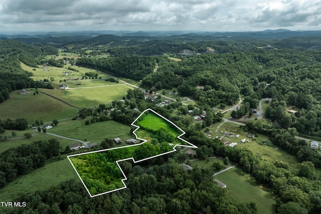 361 Malone Rd, Watauga, TN 37694 - photo 6