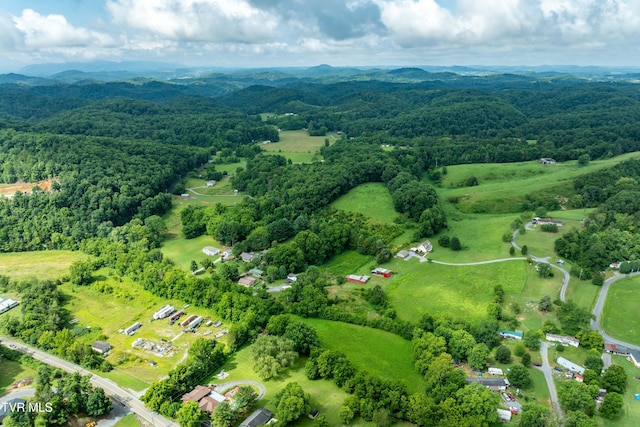 361 Malone Rd, Watauga, TN 37694 - photo 8